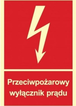 Szkolenie on-line Przeciwpożarowy wyłącznik prądu „PWP” 17.04.2024 r.